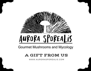 Aurora Sporealis Gift Card